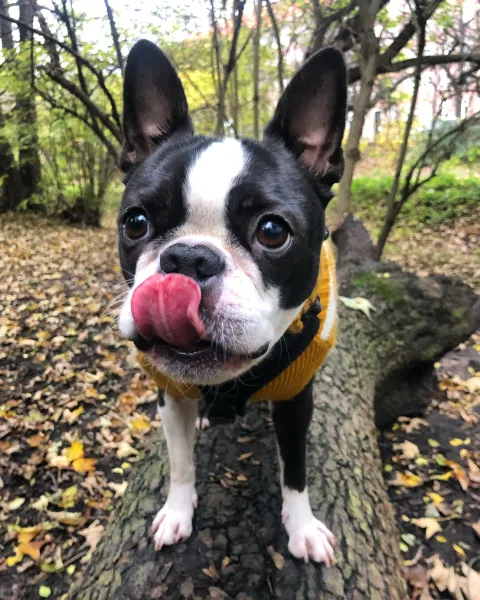 Stay hungry Stay hungry