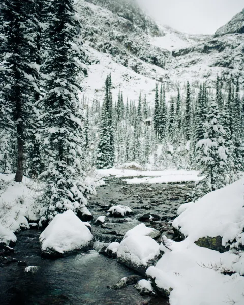 frozen hydration reservoir, 2021. frozen hydration reservoir, 2021.