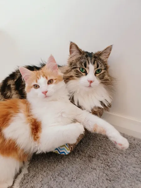 Mocha & Latte Mocha & Latte