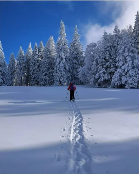 Les journées magnifiques qui vident la tête Les journées magnifiques qui vident la tête