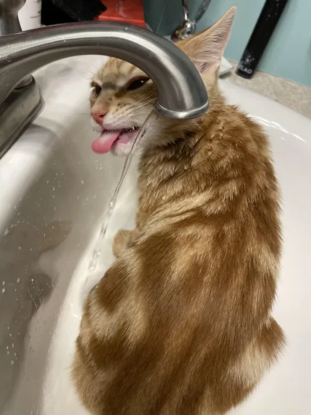 Edgrrrr getting a drink Edgrrrr getting a drink