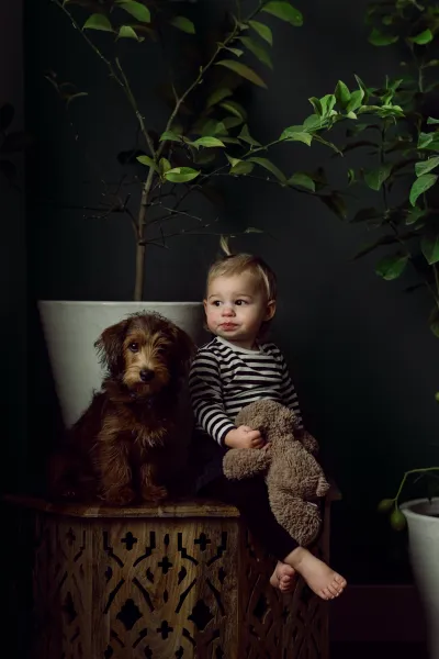 Dog-gone it! They’re cute! Dog-gone it! They’re cute!