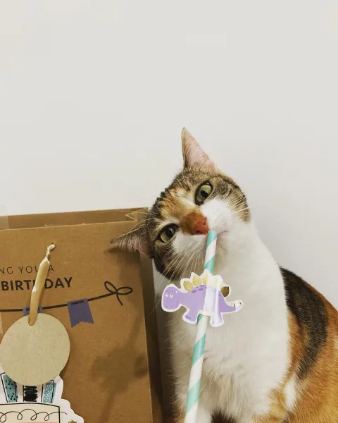 Is This food? Is This food?