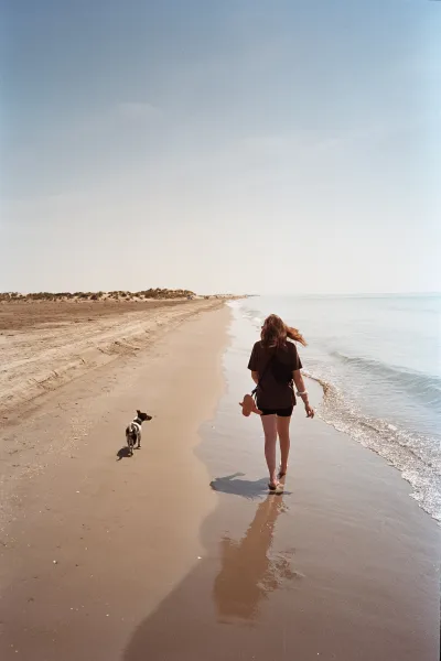 🏖 🏖