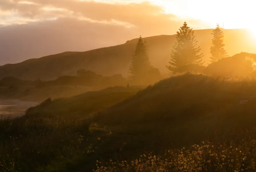 to dance with luminance to dance with luminance