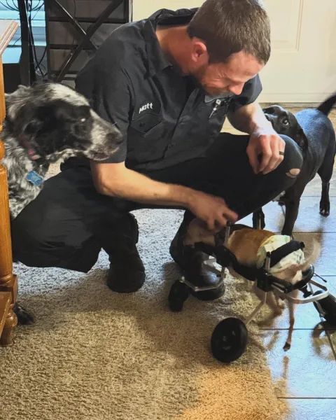 Here’s JoJo’s adventures filled with zoomies and on his new wheels! Here’s JoJo’s adventures filled with zoomies and on his new wheels!