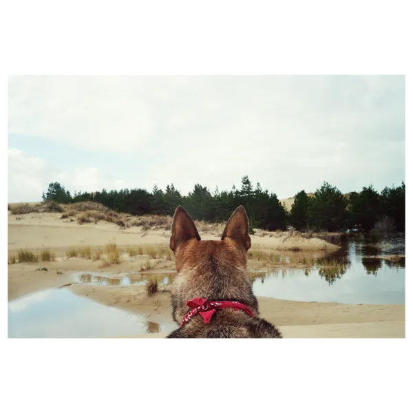 Morning Exploring Morning Exploring