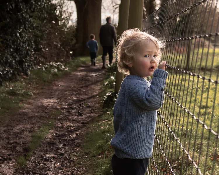 Sunday Walk Sunday Walk