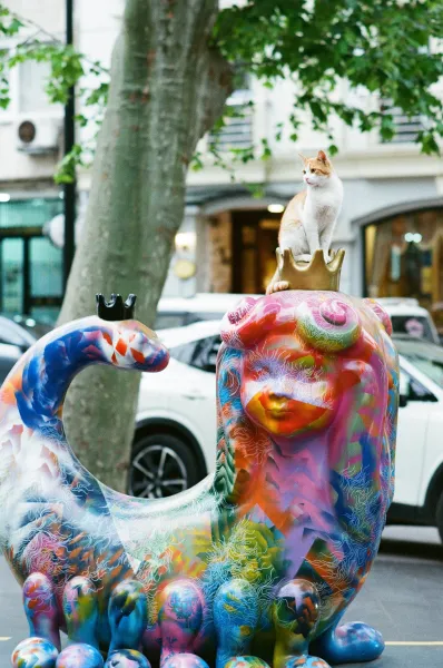 Her Majesty The Cat Her Majesty The Cat