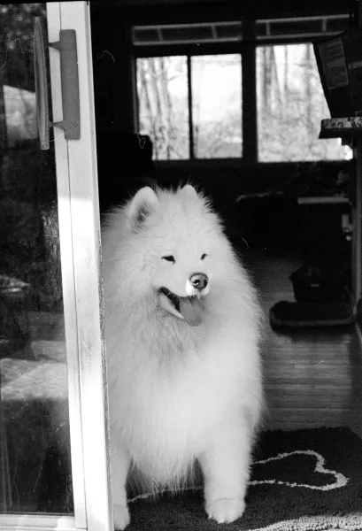 Stella smiles! Stella smiles!