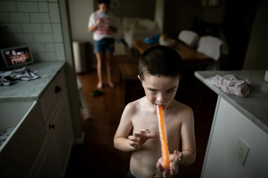 freezer pop season freezer pop season
