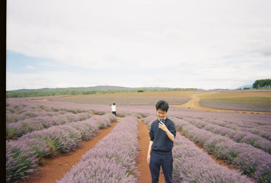 A peaceful day at Lavender Farm