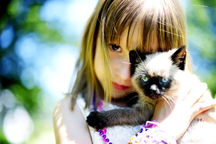 Summer Lovin' Summer Lovin'