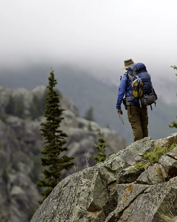 Where to next. Where to next.