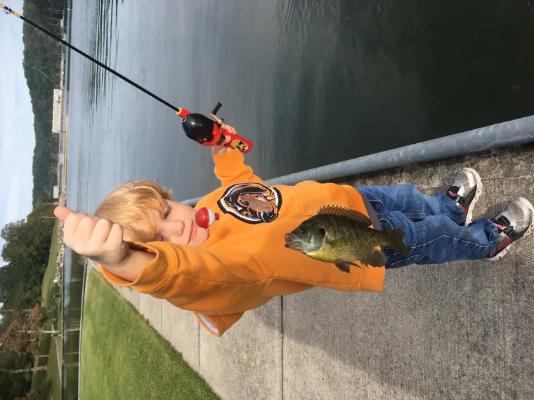 First Fish First Fish