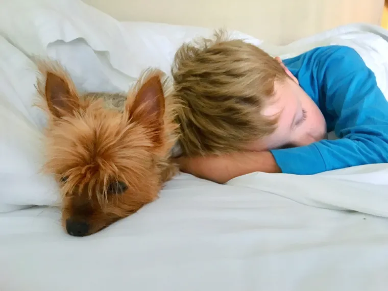 Nap time  Nap time