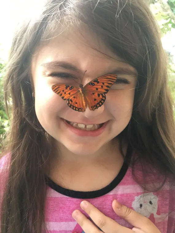 Butterfly Kisses Butterfly Kisses