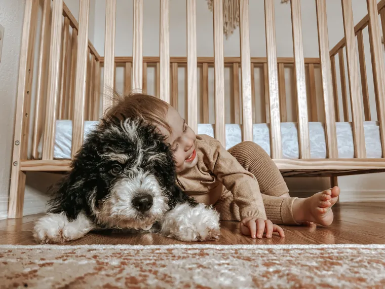 Riley & Charlie 🐾 Riley & Charlie 🐾