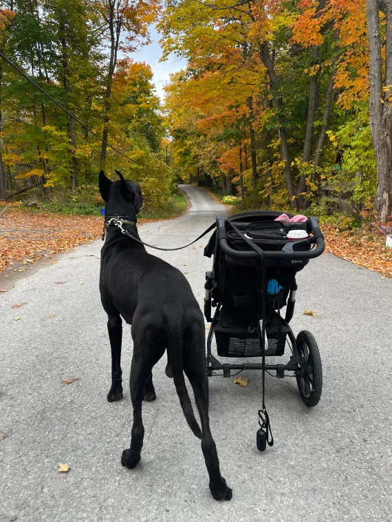 Fall Feels Fall Feels