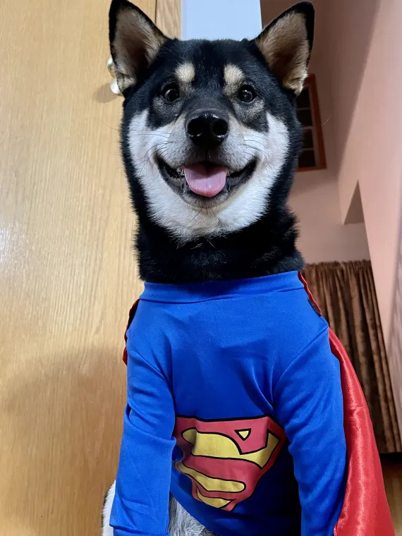Super Saturday! Super Saturday!