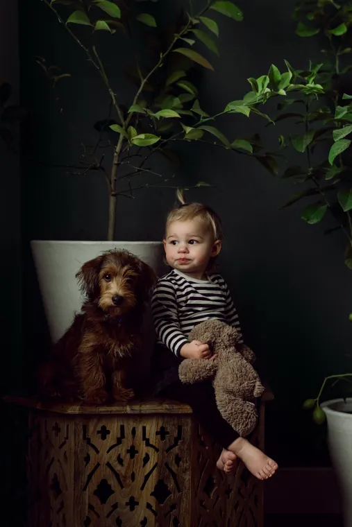 Dog-gone it! They’re cute!  Dog-gone it! They’re cute!