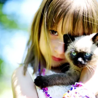 Summer Lovin' Summer Lovin'