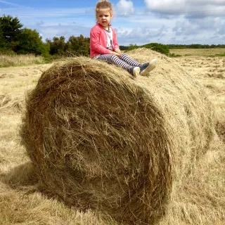 Lou sur la paille Lou sur la paille