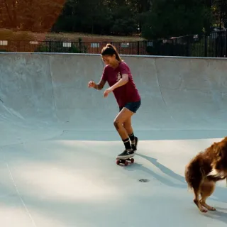 Bork Bork