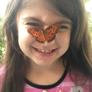 Butterfly Kisses Butterfly Kisses