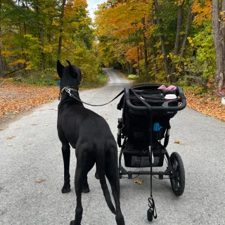 Fall Feels Fall Feels