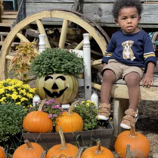 Halloween Fun at Pumpkin Patch Farm Halloween Fun at Pumpkin Patch Farm