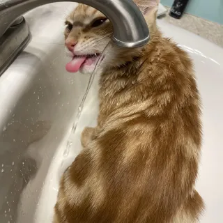 Edgrrrr getting a drink Edgrrrr getting a drink