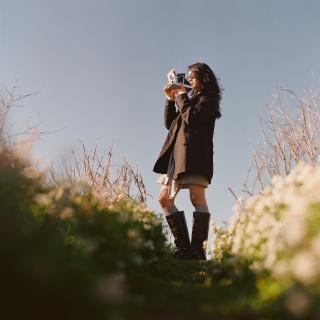 Memories in Bloom