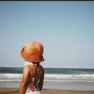 A summer day, Florida, 2023