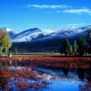 October Scene