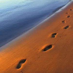 Footprints