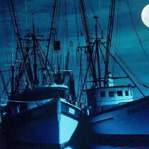 Boats