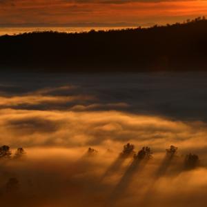 Nature's Finest Hour