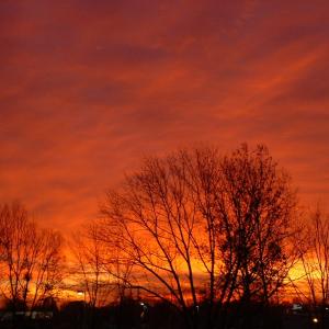 Red Sky Morning