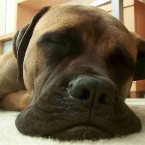 Strategic Thinking...