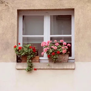 Windows in Paris
