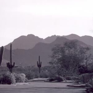 Arizonia Mountains