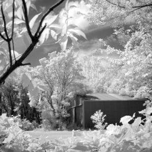 Nestled