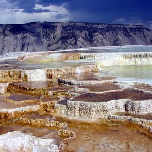 Mammoth Hot Springs