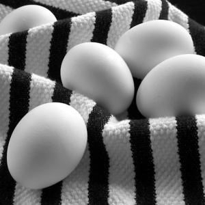 5 White Eggs