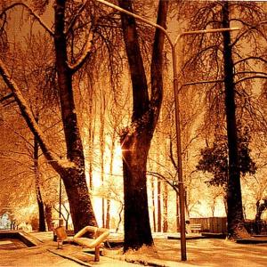 Snow Night