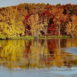 Colorful Autumn