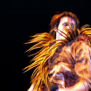 Energy in Motion