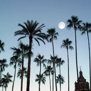 Plaza de Alamos Sonora