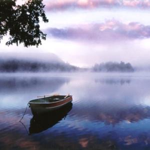 Morning Mist